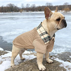 SCENEREAL Dog Sweaters for Small Medium Dogs, Pet Hoodie Sweatshirts Winter Knitted Pullovers with Fashion Shirt Collar, Puppy Clothes Cold Weather Coats, Beige L