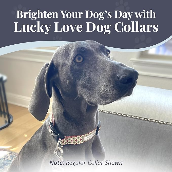Lucky Love Dog Martingale Dog Collar - Adjustable, No-Slip, Durable, & Soft Webbing Collar for Male and Female Dogs Ideal for Training & Walking - in Unique Pongo Pattern, Large Size
