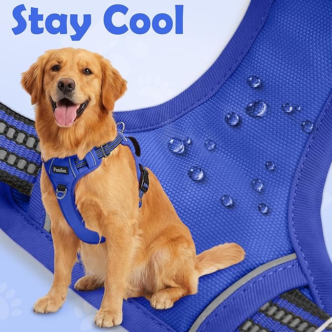 Funfox Dog Harness No Pull, Adjustable Pet Vest Harness, Super Soft Material with Vertical Handle Easy Control, Reflective Night Walking, 2 Leash Clips for Small Sized Dogs, Blue, S