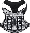 Light Dog Harness for Small Sized Dog Breeds, No-Pull Pet Harness with 2 Leash Clips, Adjustable Soft Padded Dog Vest, Reflective Pet Oxford Vest, Puggle, Terriers, Beagle, Black Ethnic S