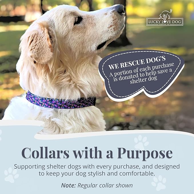 Lucky Love Dog Martingale Dog Collar - Adjustable, No-Slip, Durable, & Soft Webbing Collar for Male and Female Dogs Ideal for Training & Walking - Primrose, Large