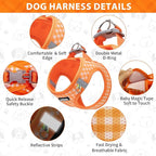 AIITLE Plaid Print Dog Harness Set – Lightweight, Reflective & Adjustable Vest Harness for Puppies – Perfect for Boston Terriers, Maltese & Indoor/Outdoor Use (XS, Orange)