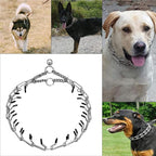 Stainless Steel Prong Pinch Collar for Dogs, Adjustable Training Collar with Quick Release Buckle for Small Medium Large Dogs (Silver, 20")