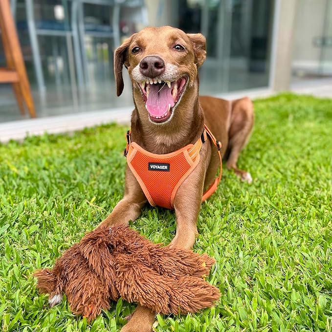 Best Pet Supplies Voyager Adjustable Step-in Flex Breathable Mesh Dog Harness for Small Medium Large Dogs Leash Set (Orange), M