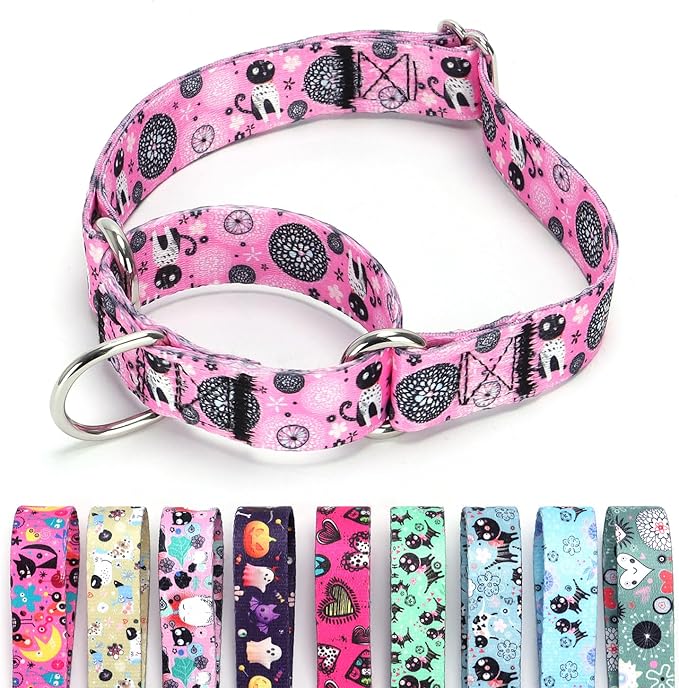 Martingale Dog Collars - Flower Multicolor Cute Patterns, Adjustable Nylon Training Dog Collar Suitable for Boy and Girl Dogs Medium Large Dogs (12, M)