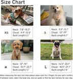 Dog Harness and Leash Set, Adjustable Dog Harness, Dog Leash, No Pull No Choke Puppy Harnesses for Walking Training for Small Medium Pet (Wines, L(Chest 18.5-27.1", Neck 14.5-20.1"))
