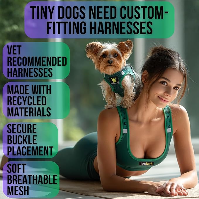 EcoBark Dog Harness - Teacup Dog Harnesses for XXXS, XXS, XS, and Small Dogs - Step in Soft Mini Body Halter - Puppy Harness- Toy Breed Dog Harness Vest Under 5 pounds lbs (XXXS, Forest Green)