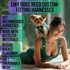EcoBark Dog Harness - Teacup Dog Harnesses for XXXS, XXS, XS, and Small Dogs - Step in Soft Mini Body Halter - Puppy Harness- Toy Breed Dog Harness Vest Under 5 pounds lbs (XXXS, Forest Green)