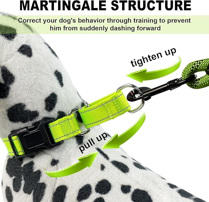 Martingale Collar for Dogs,Reflective Martingale Dog Collars with Quick Release Buckle,Adjustable Nylon No Pull Dog Collar for Walking Training(Azure Blue,Extra Large)