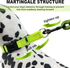 Martingale Collar for Dogs,Reflective Martingale Dog Collars with Quick Release Buckle,Adjustable Nylon No Pull Dog Collar for Walking Training(Azure Blue,Extra Large)