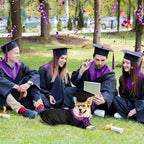 5 Pcs Dog Graduation Costume Set Include 2026 Pet Graduation Gown with Stole Puppy Grad Cap Lensless Glasses DIY Letter Stickers for Dogs Cats Holiday Costume Accessory(Black Purple,L)