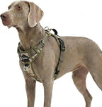 Funfox Dog Harness No Pull, Adjustable Pet Vest Harness, Super Soft Material with Vertical Handle Easy Control, Reflective Night Walking, 2 Leash Clips for XLarge Dogs, Camo Green, XL