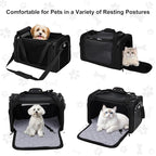 EliteField Deluxe Soft-Sided Pet Carrier (3 Year Warranty, Airline Approved), Travel Bag for Dogs, Cats & Small Pets, with Expandable Mat