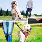 WINSEE Pet Harness Collar and Leash Set, All-in-one Reflective Dog Harness No Pull with Adjustable Buckles for Puppies, Small, Medium, Large, and Extra-Large Dogs (Small, Red)