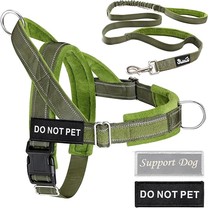 Lukovee No Pull Dog Harness & Leash Set - Heavy Duty Dog Vest Harness with Soft Padded for Medium Large Dogs, Adjustable Reflective Tactical Pet Harness for Easy Walk and Training (S, Green)