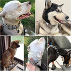 Dog Prong Collar,Dog Pinch Collar with Quick Release Buckle,No Pull Choke Collar Detachable Adjustable,Metal Easy Buckle Release Middle Large Dog Training Collar