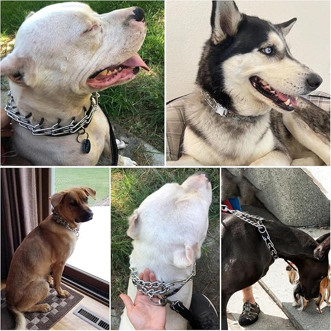 Dog Prong Collar,Dog Pinch Collar with Quick Release Buckle,No Pull Choke Collar Detachable Adjustable,Metal Easy Buckle Release Middle Large Dog Training Collar
