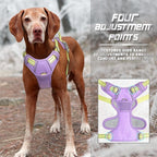 BARKBAY No Pull Dog Harness Front Clip Heavy Duty Reflective Easy Control Handle for Large Dog Walking(Violet Purple & Sunlight,L)