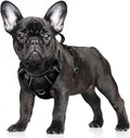 BARKBAY No Pull Dog Harness Large Reflective Dog Harness with Front Clip and Easy Control Handle for Walking Training Running with ID tag Pocket(Black,S)