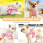 BAEJMJK Dog Harness and Leash Set with Bow Knot No Pull Pet Daisy Floral Harness with D-Ring Soft Mesh Dog Harness Vest Set Escape Proof Princess Puppy Harness for Small Girl Dogs Cats（Pink XS）