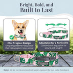 Lucky Love Dog Martingale Dog Collar - Adjustable, No-Slip, Comfortable, Durable, Soft Webbing & Stylish Patterned Collar for Male and Female Dogs Ideal for Training & Walking - Laguna, Small