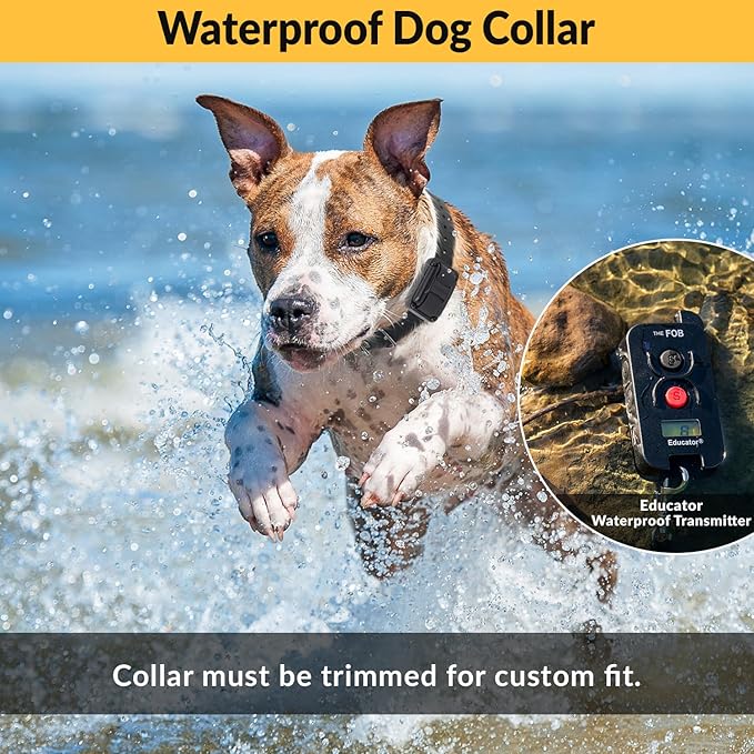 Educator FOB 300 Yard Dog Training Collar with Remote and Finger Button, Humane Stimulation, Pavlovian Tone, Waterproof, Odorproof Biothane Collar, Night Light, Rechargeable, 1 Dog (USA Only), Black
