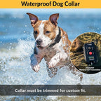 Educator FOB 300 Yard Dog Training Collar with Remote, Humane Stimulation, Pavlovian Tone, Waterproof, Odorproof Biothane Collar, Night Light, Rechargeable, 2 Dog, Black