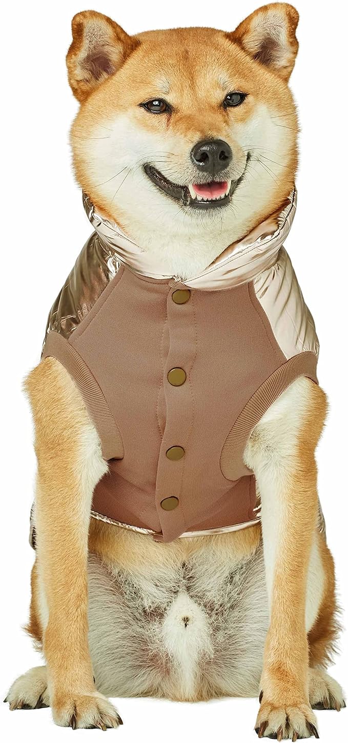 Blueberry Pet Cozy & Comfy Windproof Lightweight Quilted Fall Winter Glossy Dog Puffer Jacket in Gold, Back Length 22.5", Size 20, Warm Coat for Large Dogs