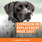 SportDOG FieldTrainer 425X & SportHunter 825X Add-a-Dog Collar - Double Pairing Compatible - Safe Shock E-Collar for Multi-Dog Households - Durable & Waterproof Obedience Training Accessory - Orange