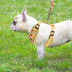 PUPTECK Thanksgiving Fall Small Dog Harness and Leash Set, No Pull Adjustable Puppy Cat Harness, Reflective Soft Mesh Pet Vest Small Sized, Leaves, S