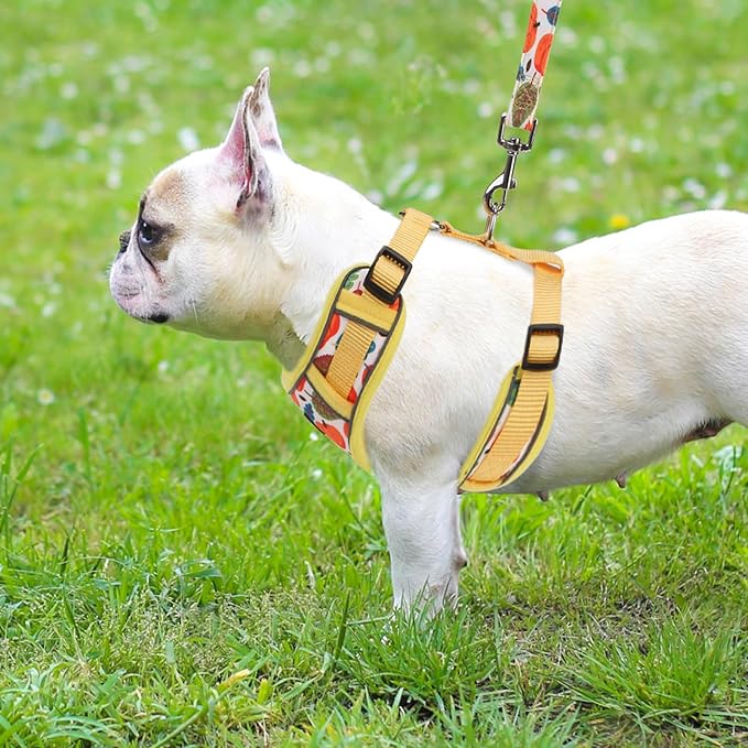 PUPTECK Thanksgiving Fall Small Dog Harness and Leash Set, No Pull Adjustable Puppy Cat Harness, Reflective Soft Mesh Pet Vest Small Sized, Leaves, S