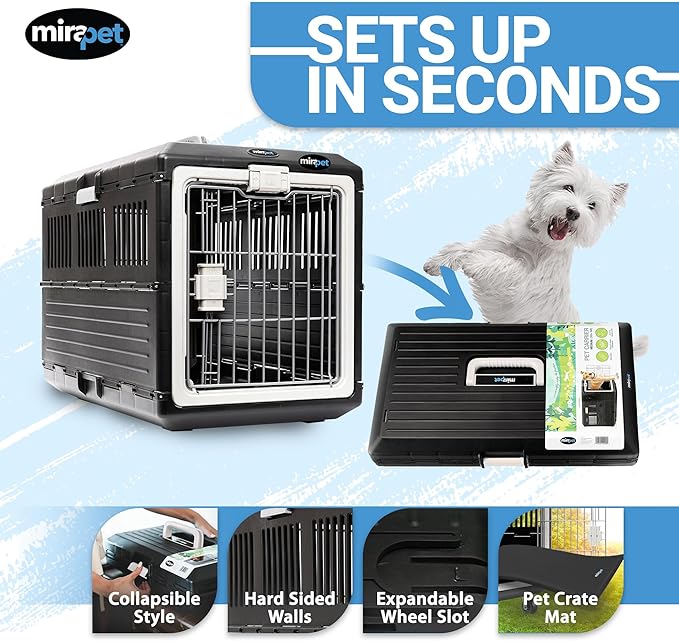 Pet Carrier with Pad, 21.5" L x 12" W x 14" H - Collapsible Travel Kit for Small Cats & Dogs, Hard Plastic Wall Kennel for Indoor/Outdoor Use
