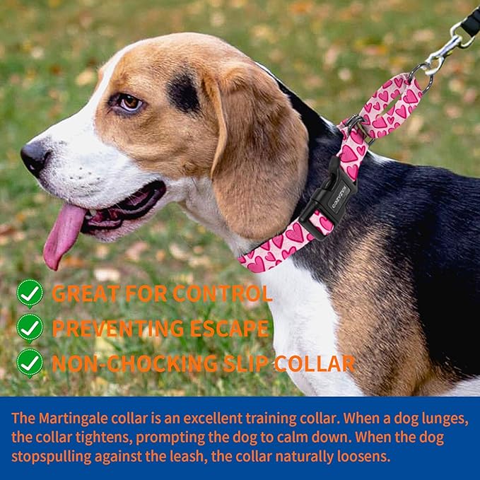 Kazazoo Martingale Collar for Dogs with Quick Release Buckle Adjustable Soft Durable Dog Collar for Small Medium Large No Pull Training Dog Collars-Hot Pink L