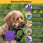 Micro Educator ME-300 Dog Training E-Collar with Remote–Double Bungee Collar for Small Dogs 5–15" Neck – Lightweight,Waterproof & Rechargeable–100 Levels Tapping Stimulation,1/3 Mile Range, Purple