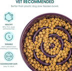 vancasso Slow Feeder Dog Bowl, 0.6 Cups Ceramic Dog Food Dish for Fast Eaters Small Breed, Puzzle Bowl for Small Dogs and Cats, Dark Purple