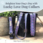 Lucky Love Dog Wide Martingale Dog Collar - No-Slip, Durable, & Soft Webbing 1.5 inch Martingale Collar for Dogs Male and Female Ideal for Training & Walking - Primrose, Medium