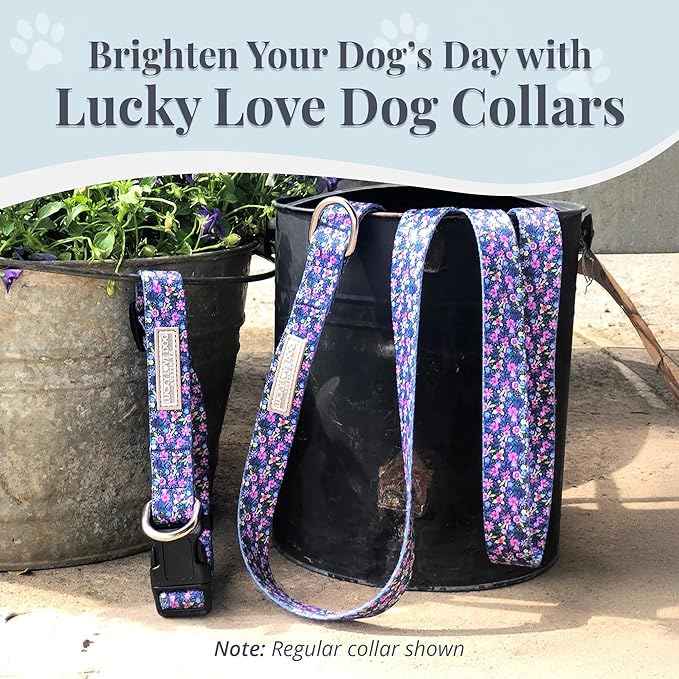 Lucky Love Dog Wide Martingale Dog Collar - No-Slip, Durable, & Soft Webbing 1.5 inch Martingale Collar for Dogs Male and Female Ideal for Training & Walking - Caroline, Medium