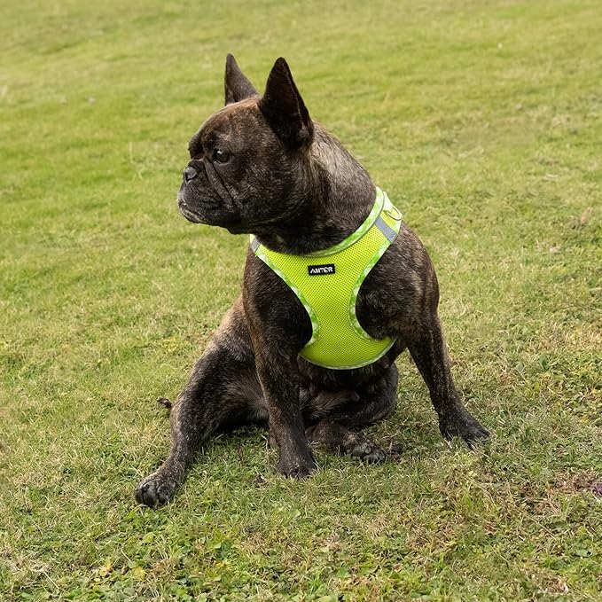 AMTOR Small Dog Harness with Leash Set, No Escape Easy Walk Puppy Harnesses for Training Walking, Step-in Reflective Soft Dogs Vest for XS S Medium Extra-Small Large Sized Dog(M Size,Green/White)