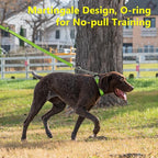 Plutus Pet Martingale Dog Collar with Stainless Steel Chain and Reflective Nylon, Adjustable No Pull Training Collar, for Small Medium, and Large Dogs, Lime Green, M