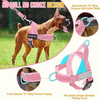 Lukovee No Pull Dog Harness & Leash Set - Heavy Duty Dog Vest Harness with Soft Padded for Medium Large Dogs, Adjustable Reflective Tactical Pet Harness for Easy Walk and Training (L, PI)