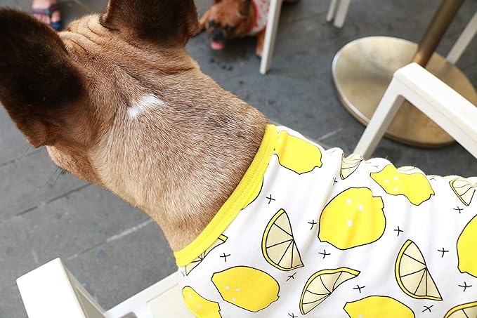 iChoue 100% Breathable Cotton English Bulldog Halloween Cartoon T Shirts Cute Clothes for Medium Large Dogs Vest Tank Tops Terrier Pitbull Lemon - XXLarge
