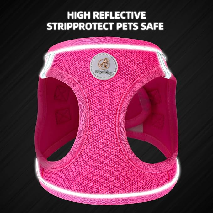 Hipubby Dog Harness and Leash Set, No Pull Soft Mesh Puppy Harness for Small Medium Dogs, Cats - Step in Reflective Breathable Lightweight Vest Harness for Walking, Training - Rose Red, M