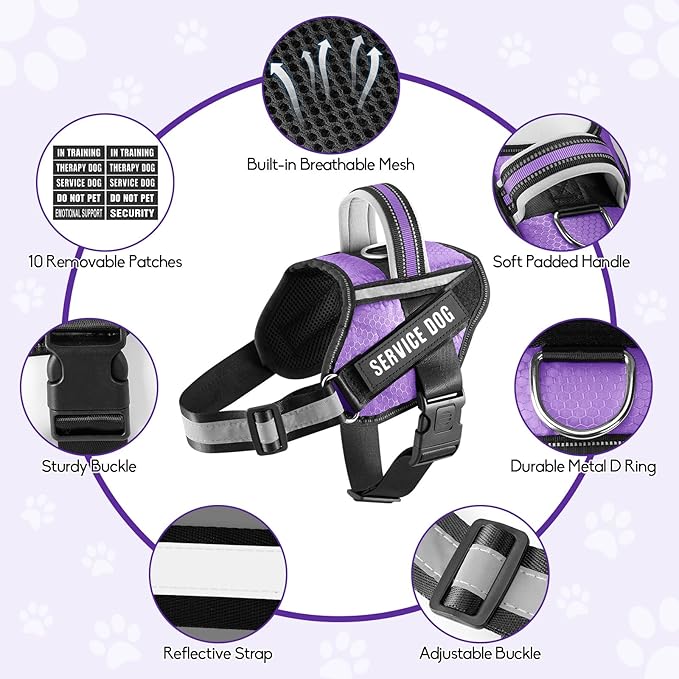 Service Dog Vest Harness and Leash Set, Animire in Training Dog Harness with 10 Dog Patches, Reflective Dog Leash with Soft Padded Handle for Small, Medium, Large, and Extra-Large Dogs (Purple, S)