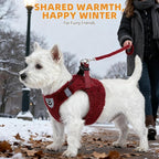 KOOLTAIL Christmas Plush Small Dog Harness and Leash Set, Warm Fleece No Pull Puppy Vest for Winter, Lightweight Reflective Step in Pet Harness for Medium Sized Dogs Boy Girl Outdoor Walking, Red M