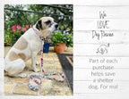 Lucky Love Dog Martingale Collar and Leash Set, Premium Fun Girl No Slip Collars, Strawberry Martingale Dog Collar and Leash Set, Great for Whippets, Greyhounds, and More (Sweet Berry, Large - Combo)