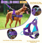 Lukovee No Pull Dog Harness & Leash Set - Heavy Duty Dog Vest Harness with Soft Padded for Medium Large Dogs, Adjustable Reflective Tactical Pet Harness for Easy Walk and Training (XL, PU)