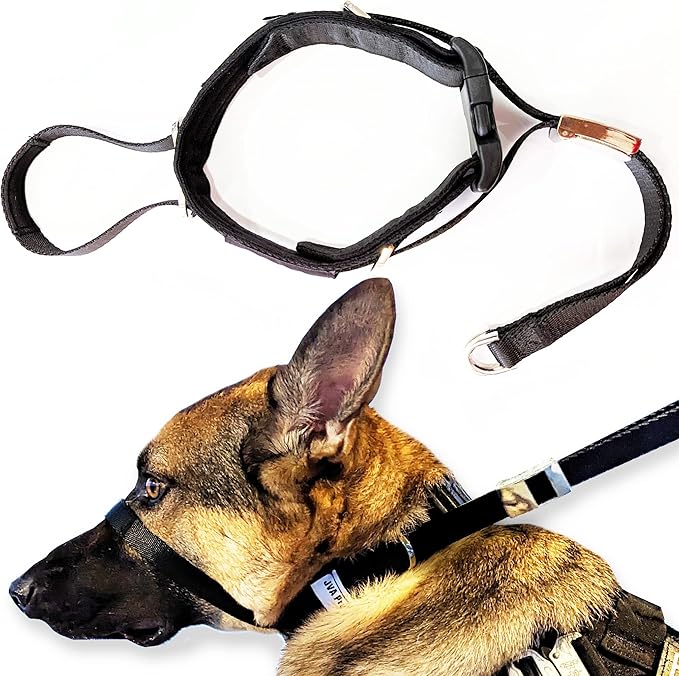 No-Pull Dog Headcollar – Stops Sudden & Constant Pulling on the Leash, Gentle & Effective Training Collar for Large & Small Dogs – No Choking or Pinching, Comfortable & Safe for Peaceful Walks (S)