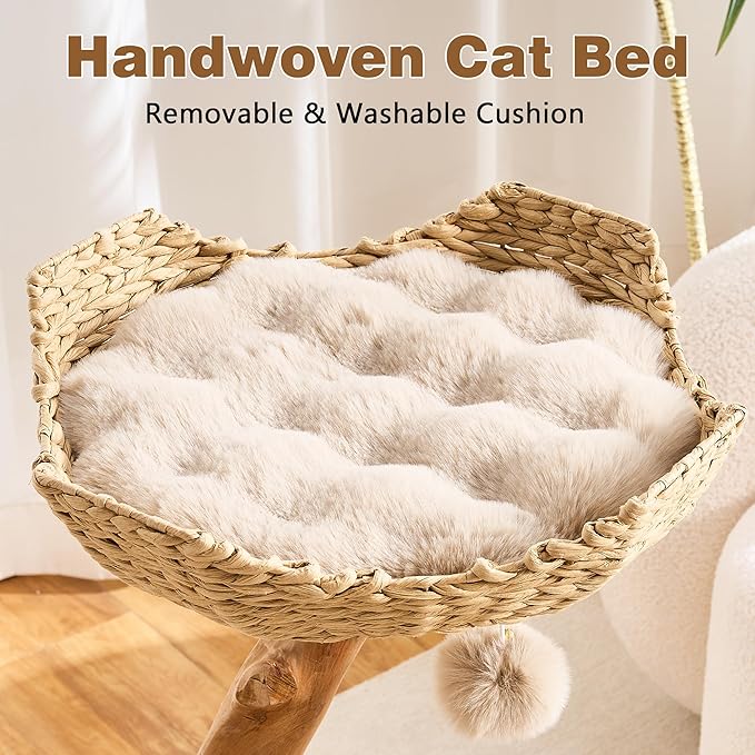 HITTITE Natural Solid Wood Cat Tree Tower with Scratching Post, 32 Inches Tall Modern Cat Tower with Rattan Bed and Platforms, Luxury Real Branch Cat Tree for Indoor Cats Large Adult, Khaki.