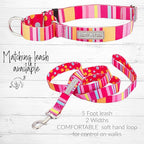 Lucky Love Dog Martingale Dog Collar & Leash - Adjustable, No-Slip, Durable, Comfortable, Soft Webbing, & Stylish Patterned Collar & Leash Set for Male and Female Dogs - Molly Combo, Large