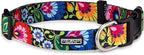Lucky Love Dog - Adjustable Dog Collar with Easy Click Buckle for Small Dogs, Durable, & Comfortable for Male & Female Dogs, Pet Collar for Puppies & Adult Dogs - Blackbird, Small